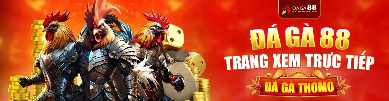 Đá gà trực tuyến XS66 Link Mới 2026