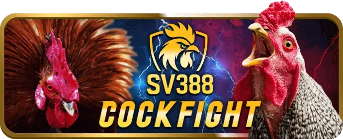 Ưu đãi casino và vòng quay miễn phí